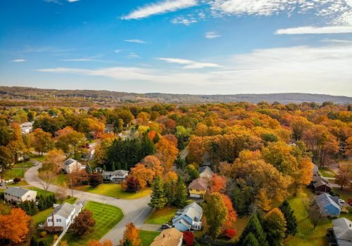 pexels-dave-frisch-1575939 (1)