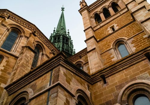 pexels-jose-rodriguez-ortega-2189823-13963224